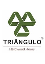 Triangulo logo